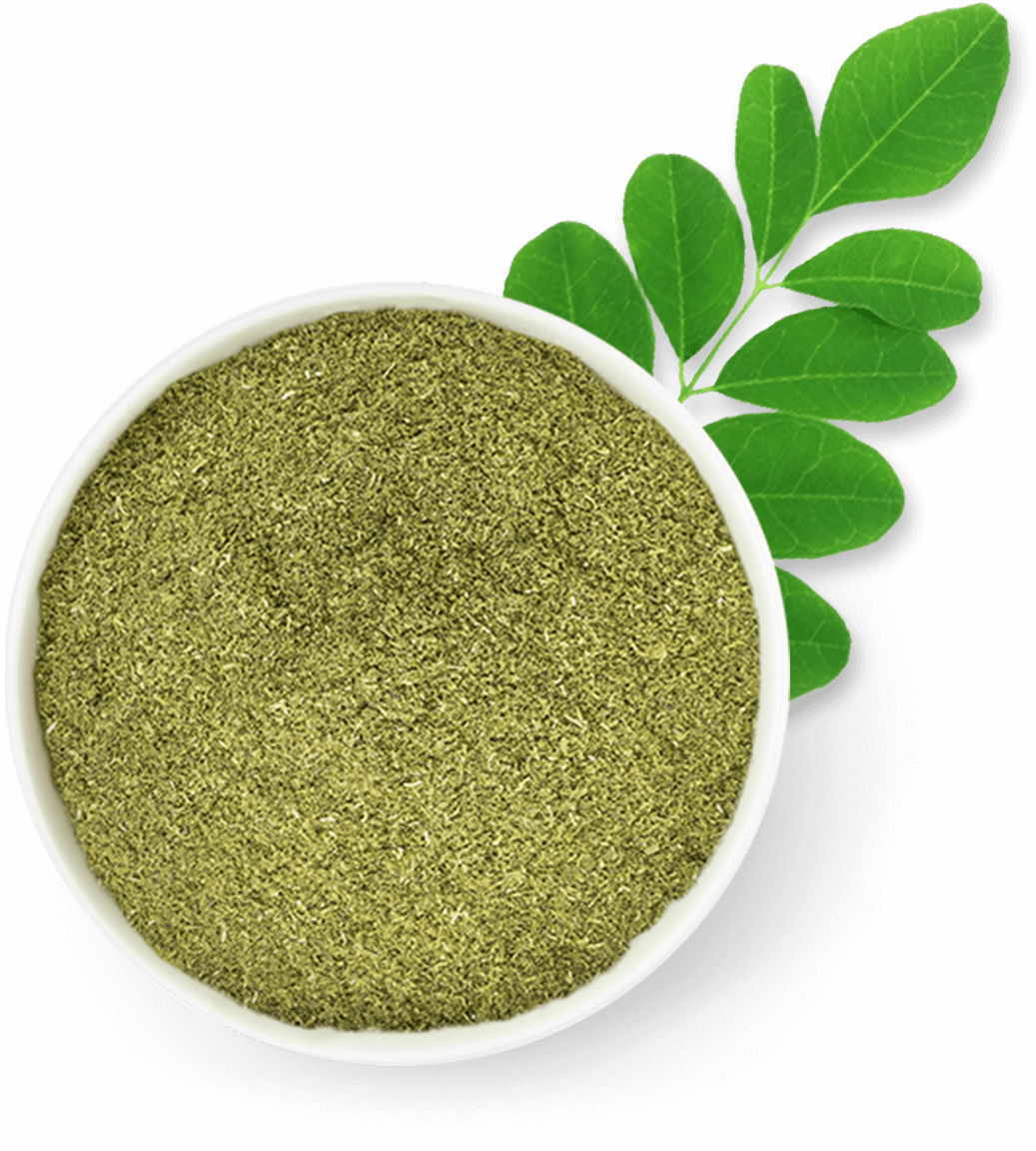 moringa